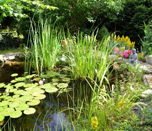 Gartengestaltung Privatgarten Kleve